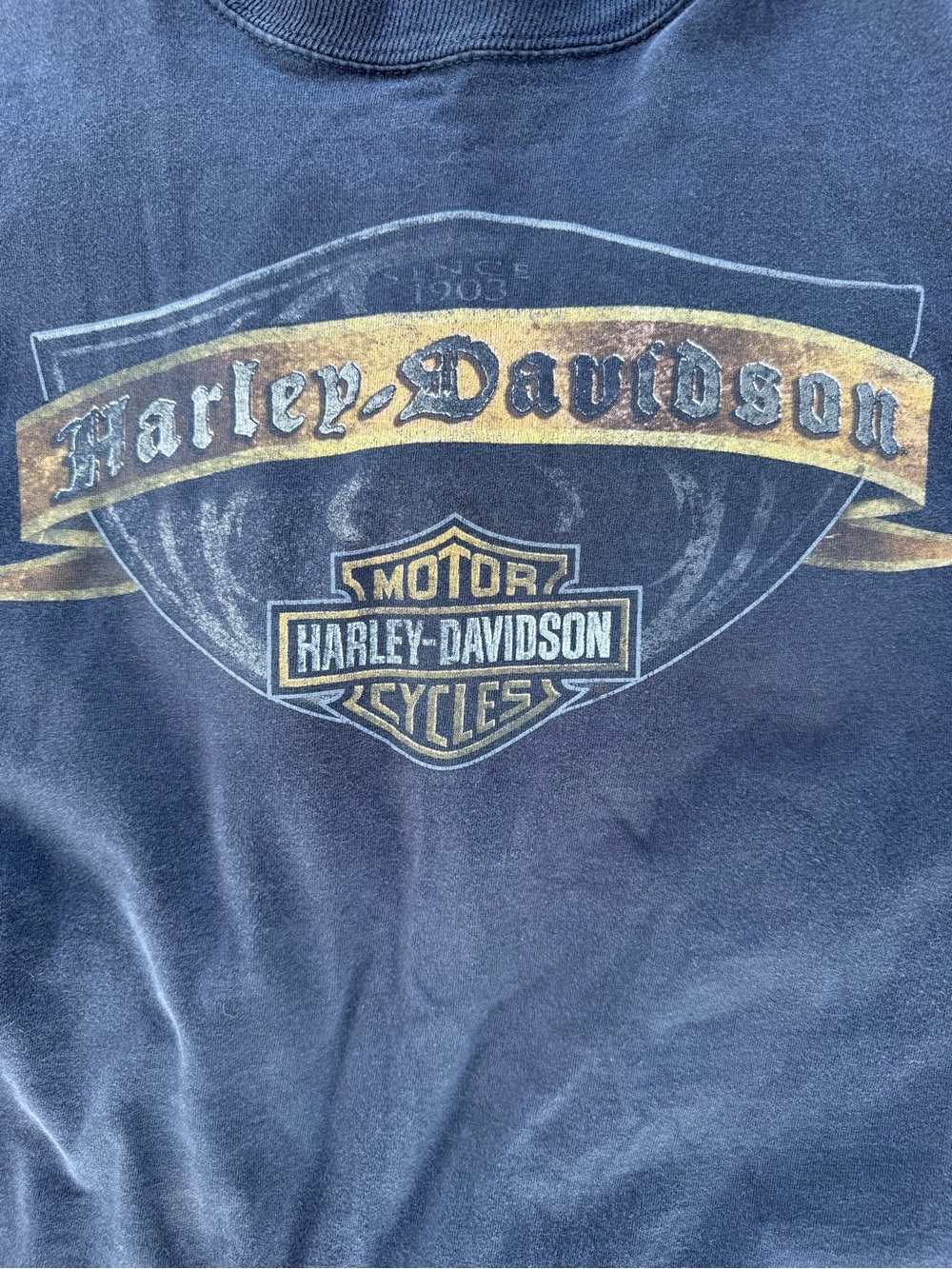 Harley-Davidson Black Sweatshirt with Gold Logo Banner